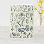 carte de vœux botanique (Fleur jaune)