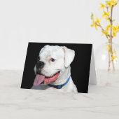 Carte de voeux Boxer blanc (Fleur jaune)