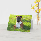 Carte de voeux Boxer Chien (Fleur jaune)