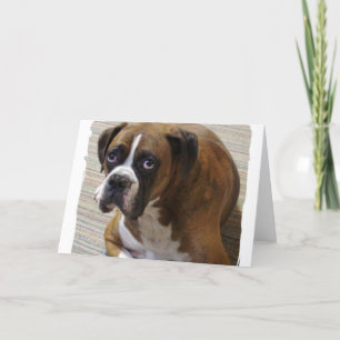 Carte de voeux Boxer Chien