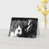 Carte de voeux Boxer pups (Fleur jaune)