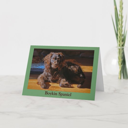Carte de voeux Boykin Spaniel (Devant)