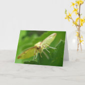 Carte de voeux Brimstone Moth (Fleur jaune)
