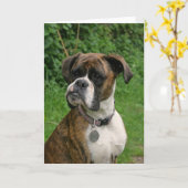 Carte de voeux Brindle et blanche de chien de (Fleur jaune)