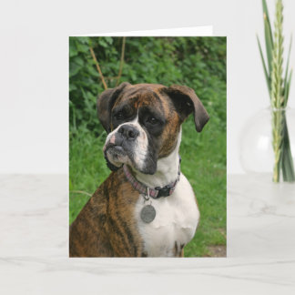 Carte de voeux Brindle et blanche de chien de