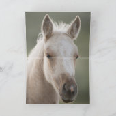 Carte de voeux Brother Wild Horse (Intérieur)