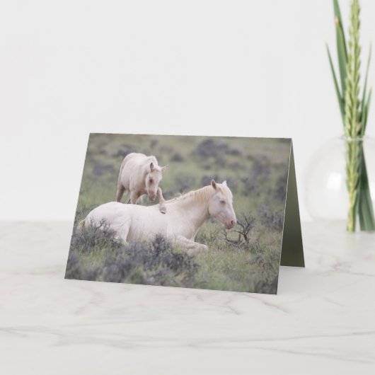 Carte de voeux Brother Wild Horse (Devant)