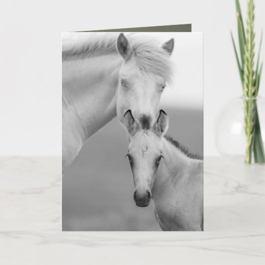 Carte de voeux Brothers Wild Horse (Devant)