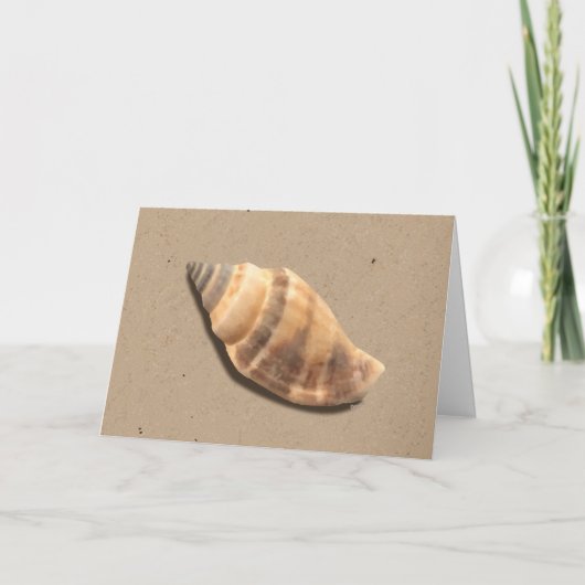 Carte de voeux Brown et Tan Striped Conch Shell (Devant)