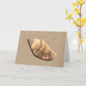 Carte de voeux Brown et Tan Striped Conch Shell (Fleur jaune)