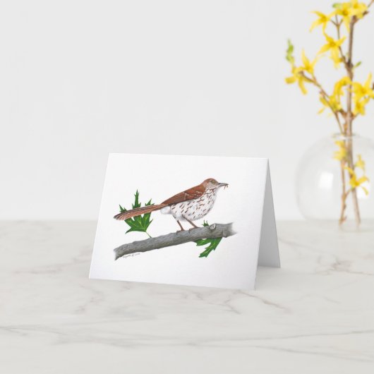 Carte de voeux Brown Thrasher (Fleur jaune)