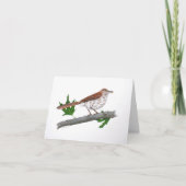 Carte de voeux Brown Thrasher (Devant)