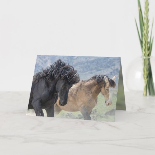 Carte de voeux Bubba et Scarface Wild Horse (Devant)