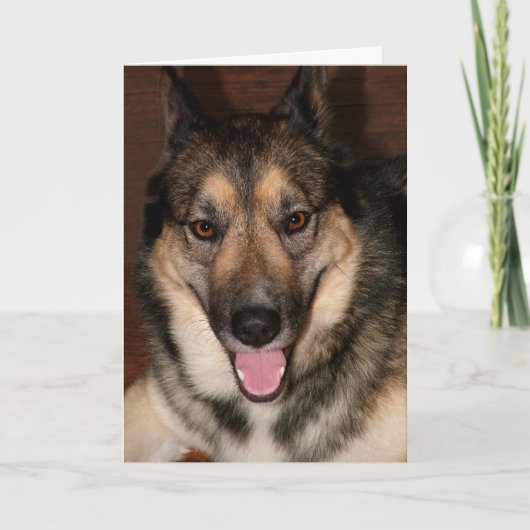 Carte de voeux Buddy (Devant)