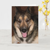 Carte de voeux Buddy (Fleur jaune)