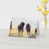 Carte de voeux Buffalo Running (Fleur jaune)