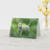 Carte de voeux Bull Terrier (Fleur jaune)