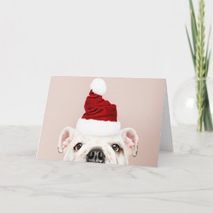 CARTE DE VOEUX BULLDOG AVEC UN CHAPEAU DE PÈRE NOË