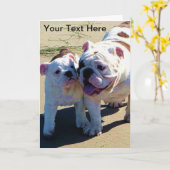 Carte de voeux Bulldogs anglaise (Fleur jaune)