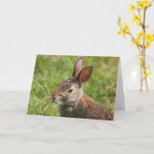 Carte de voeux Bunny (Fleur jaune)