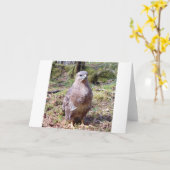 Carte de vœux Buse – Buse de la faune (Fleur jaune)