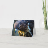 Carte de vœux Buse variable (Devant)