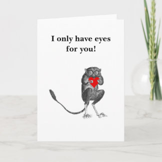 Carte de voeux Bush Baby