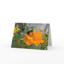 Carte de voeux Busy Bee - Carte blanche par Cottag