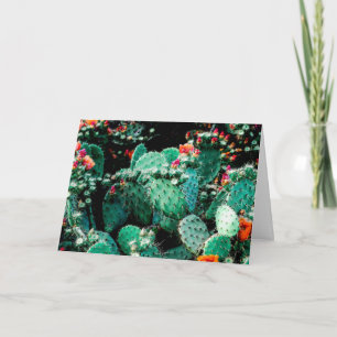 Carte de vœux Cactus