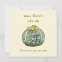 Carte de vœux cactus baril bleu