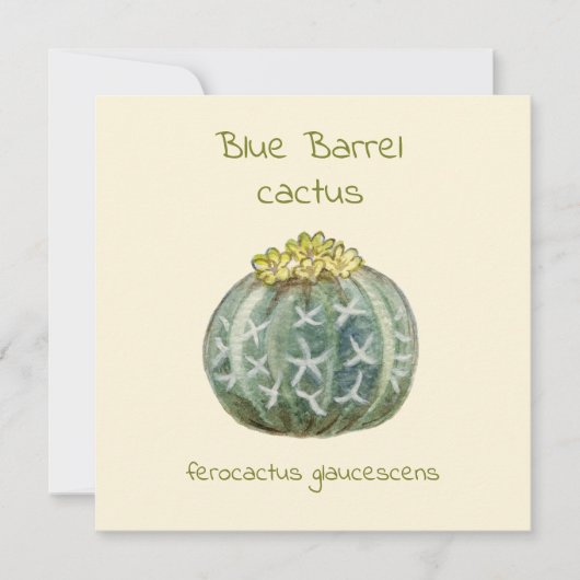 Carte de vœux cactus baril bleu (Devant)