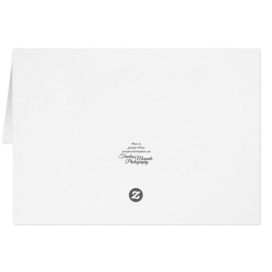 Carte de voeux Calico Taco (Dos Horizontal)