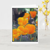 Carte de voeux California Poppies (Fleur jaune)