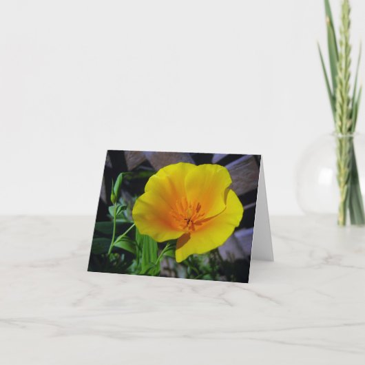 Carte de voeux California Poppy (Devant)