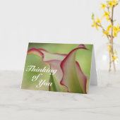 Carte de voeux Calla Lily (Fleur jaune)