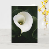 Carte de voeux Calla Lily (pas de frontière) (Fleur jaune)