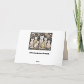 carte de voeux calmant chats (Dos)