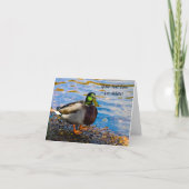 Carte de vœux Canard colvert (Devant)
