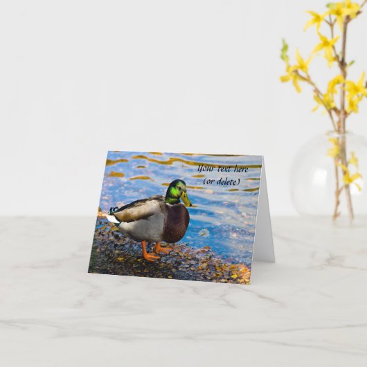 Carte de vœux Canard colvert (Fleur jaune)