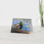 Carte de vœux Canard colvert (Devant)