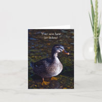 Carte de vœux Canard colvert