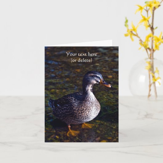 Carte de vœux Canard colvert (Fleur jaune)