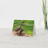 Carte de vœux Canard colvert et son caneton (Devant)