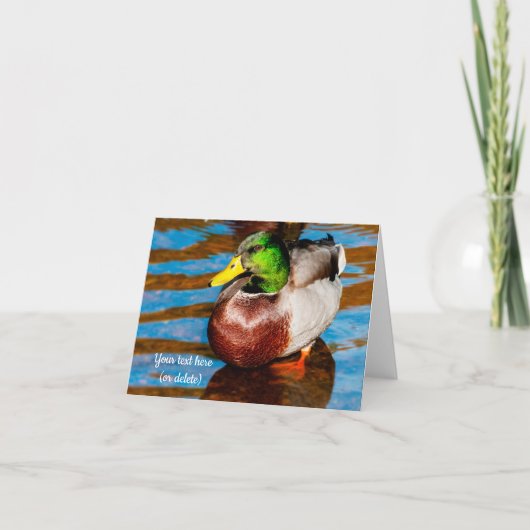 Carte de vœux Canard colvert mignon (Devant)