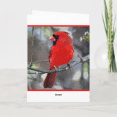 Carte de voeux Cardinal de Noël Joyeux (Dos)