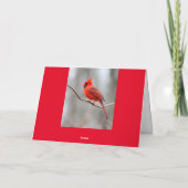 Carte de vœux Cardinal en forêt (Dos)