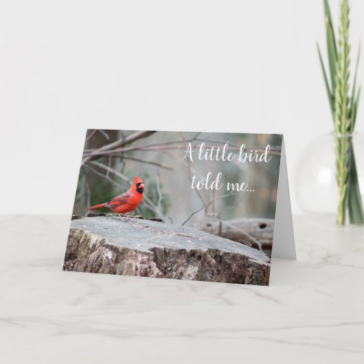 Carte de vœux Cardinal en forêt (Devant)