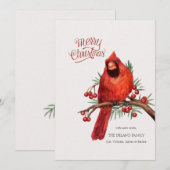 Carte de vœux Cardinal rouge sur branche de baie (Devant / Derrière)