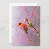 Carte de voeux cardinale masculine (Devant / Derrière)