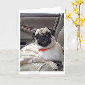 Carte de voeux carlin (Fleur jaune)